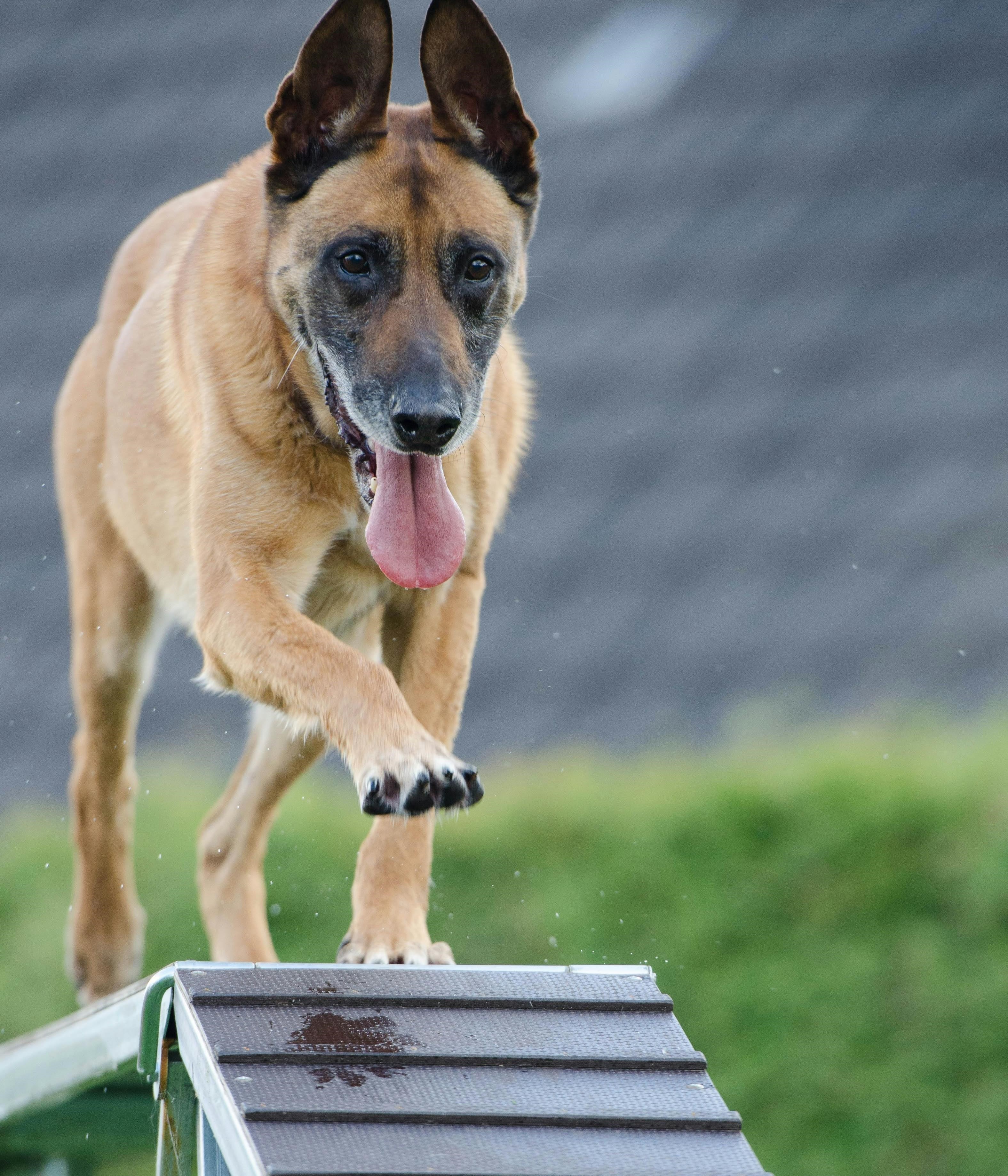 Mission Vision Strategy