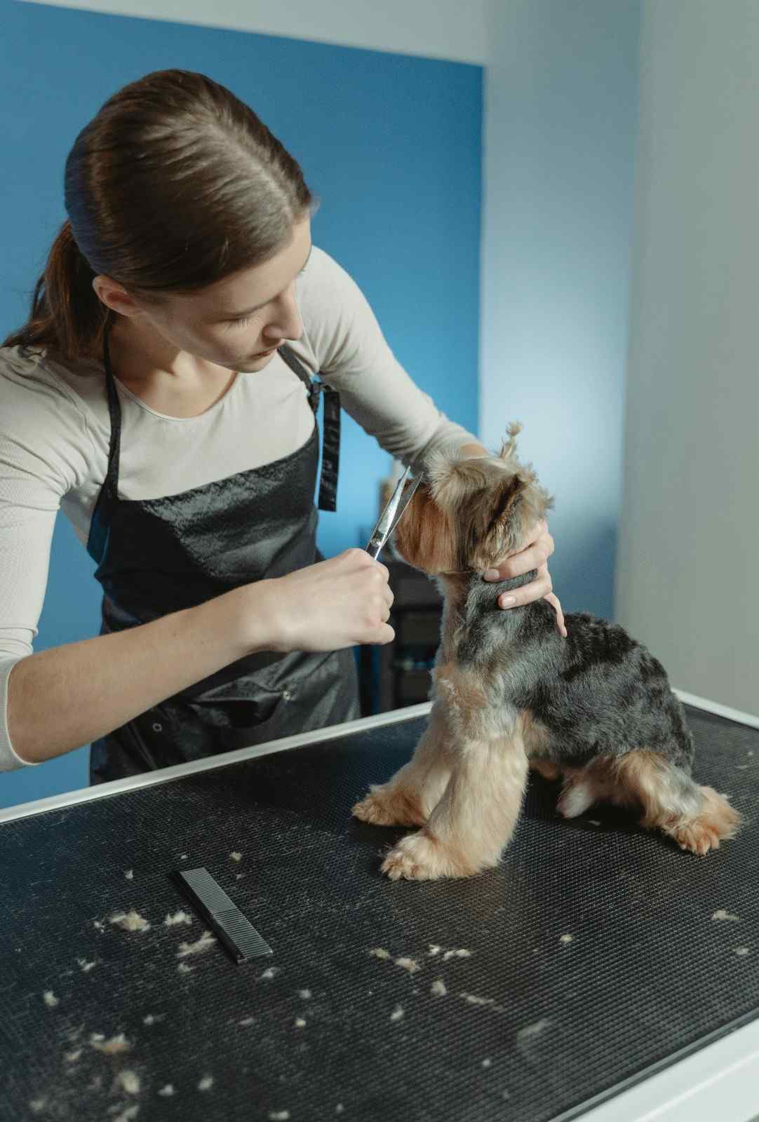 Fur Grooming Benefits