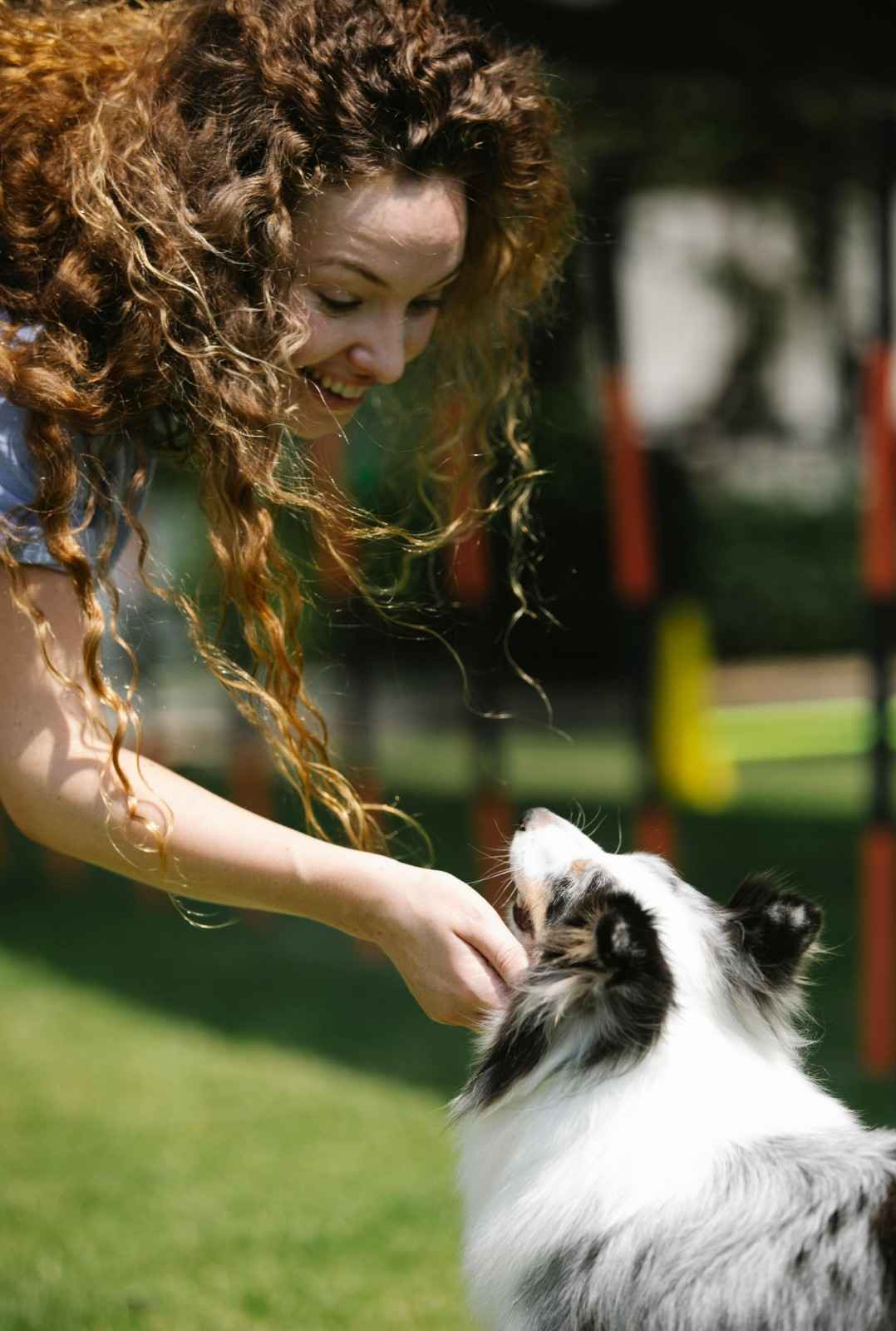 Puppy Behavioural Tips