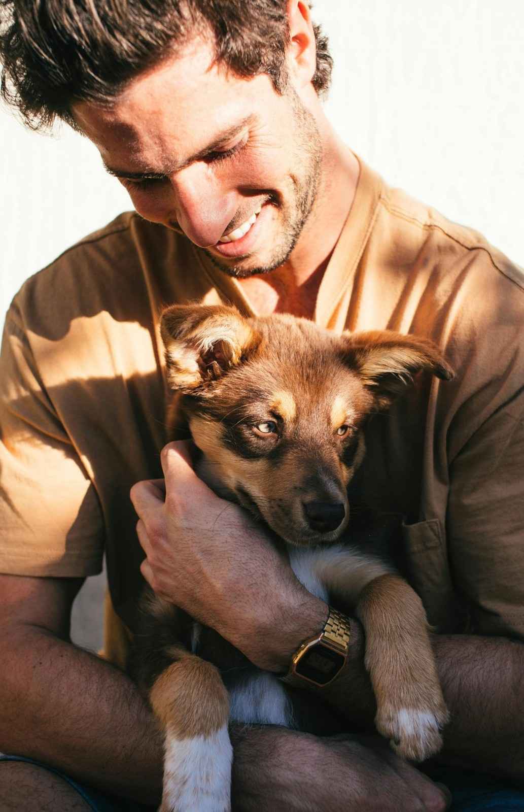 Puppy Boarding Benefits